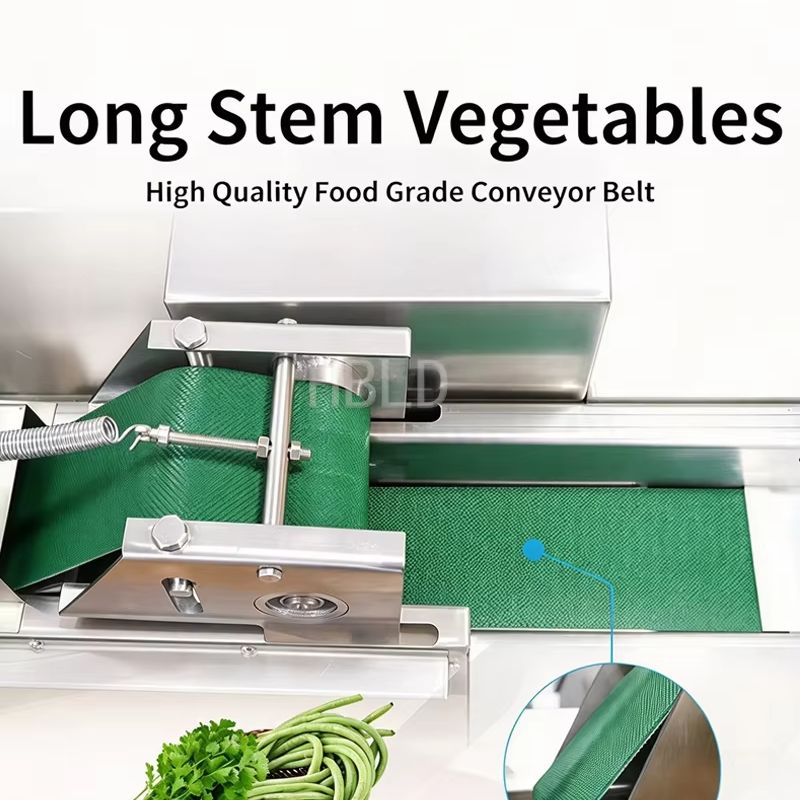 Affettatrice Industriale per V - Food Slicer Machine Stainless recensione e prezzo